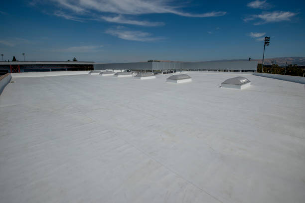 Best Cold Roofs  in Takoma Park, MD