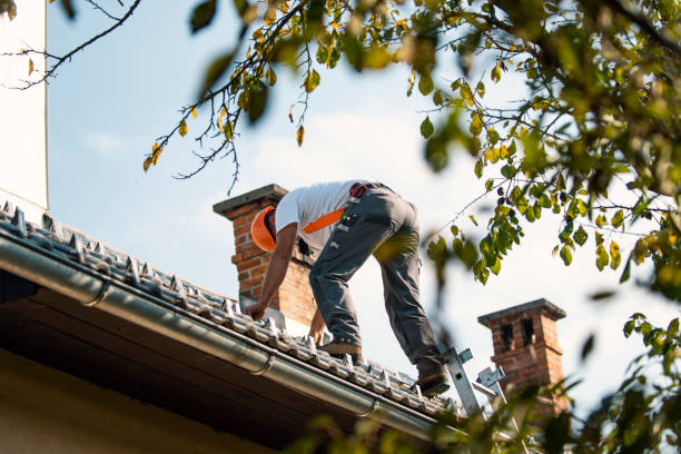 Best Gutter Installation and Repair  in Takoma Park, MD